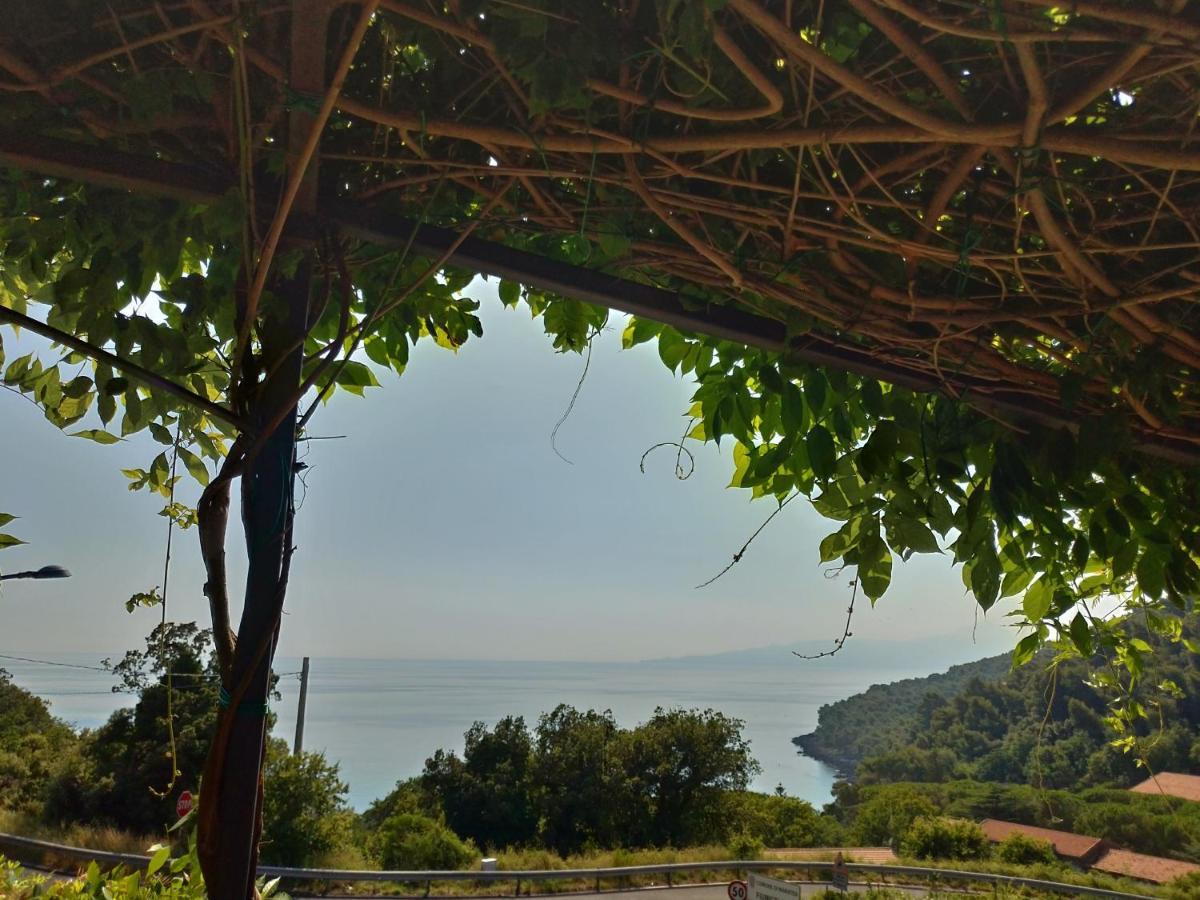 Bed & Breakfast Laino Maratea Ngoại thất bức ảnh