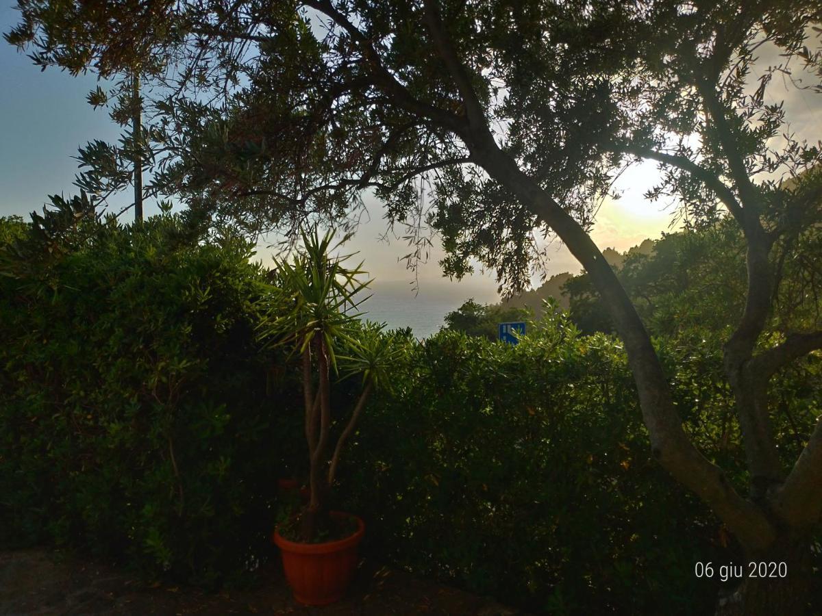 Bed & Breakfast Laino Maratea Ngoại thất bức ảnh